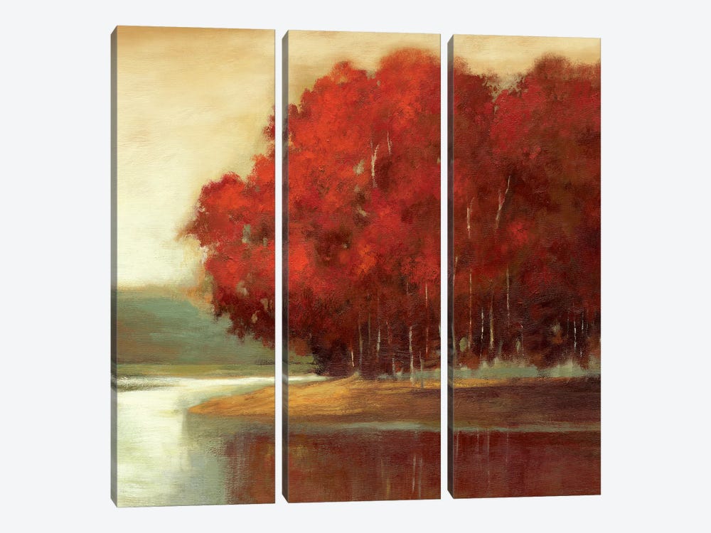 Touch Of Red by Asia Jensen 3-piece Canvas Wall Art