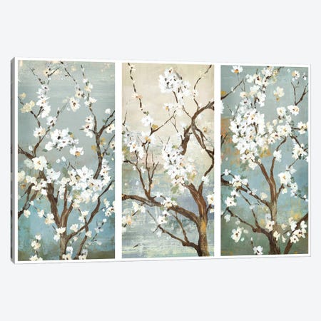 Triptych In Bloom Canvas Print #ASJ300} by Asia Jensen Art Print