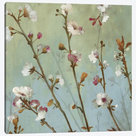 Wind Blossoms I Canvas Print #ASJ326} by Asia Jensen Canvas Art
