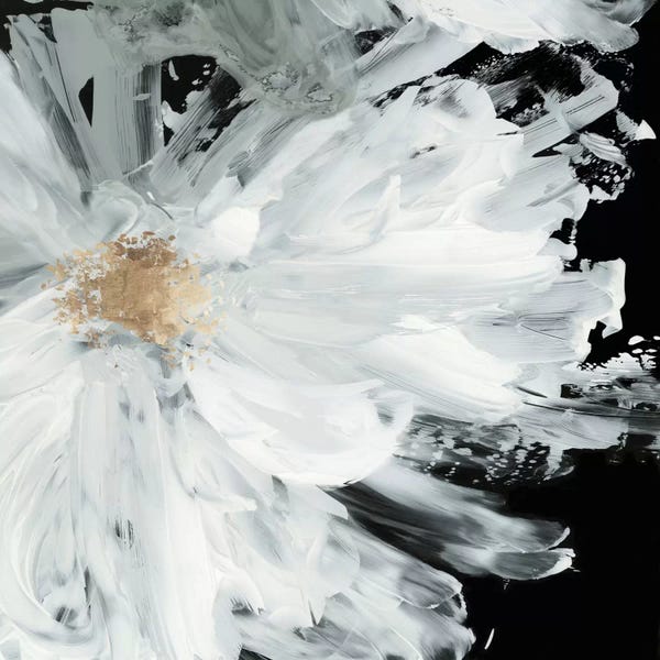 Black & White & Gold: Black Peony by Asia Jensen