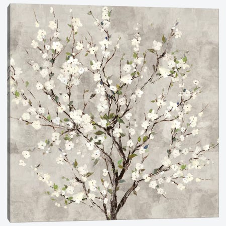 Bloom Tree Canvas Print #ASJ334} by Asia Jensen Canvas Art Print