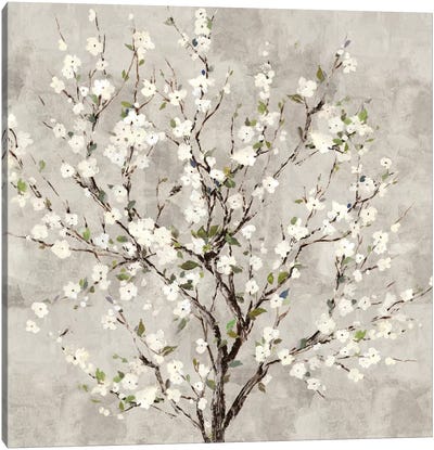 Bloom Tree Canvas Art Print - Gray & White Art