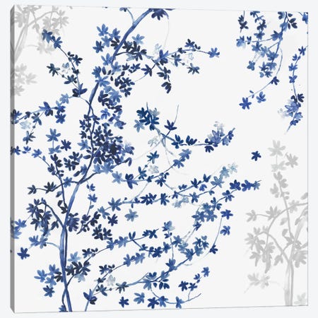 Blue Ivy Canvas Print #ASJ335} by Asia Jensen Canvas Art Print