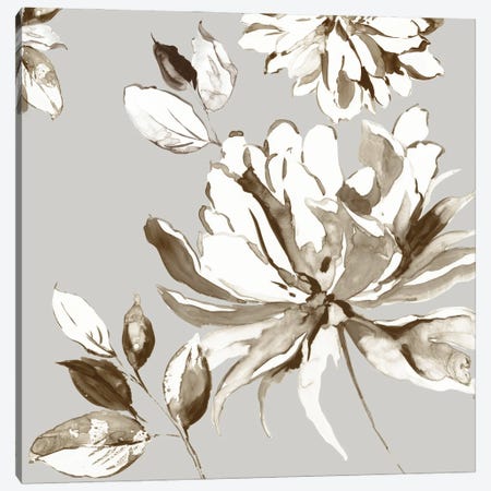 Botanical Gray I Canvas Print #ASJ336} by Asia Jensen Art Print
