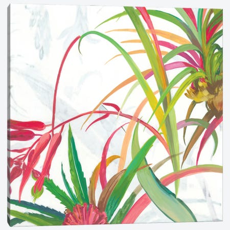 Tropical II Canvas Print #ASJ344} by Asia Jensen Canvas Wall Art