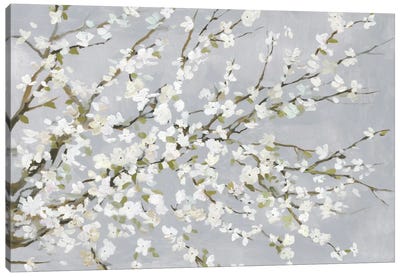 White Blossoms Canvas Art Print - 3-Piece Tree Art