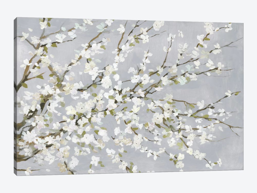 White Blossoms by Asia Jensen 1-piece Canvas Wall Art