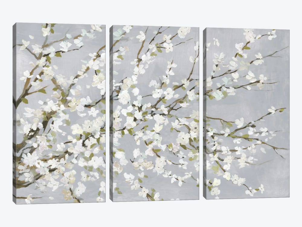 White Blossoms by Asia Jensen 3-piece Canvas Art