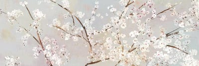 Almond Blossoms