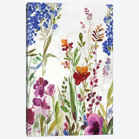Spring Field Canvas Print #ASJ358} by Asia Jensen Canvas Wall Art