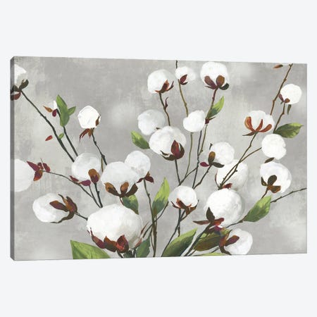 Cotton Ball Flowers I  Canvas Print #ASJ360} by Asia Jensen Art Print
