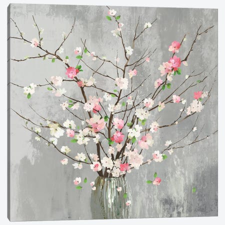 Delicate Pink Blooms  Canvas Print #ASJ362} by Asia Jensen Art Print