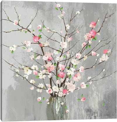 Delicate Pink Blooms  Canvas Art Print - Asia Jensen