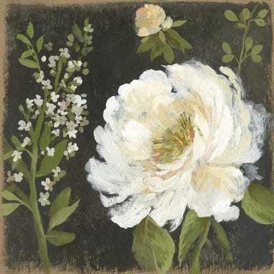 Fruit of the Flower III by Asia Jensen canvas print