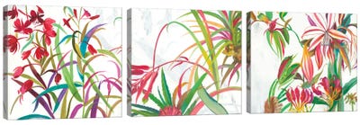 Tropical Triptych Canvas Art Print - Tropical Leaf Art