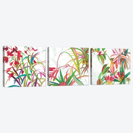 Tropical Triptych Canvas Print Set #ASJ3HSET001} by Asia Jensen Canvas Art