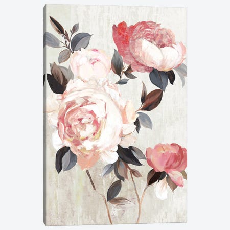 Bloom of Blush  Canvas Print #ASJ426} by Asia Jensen Art Print