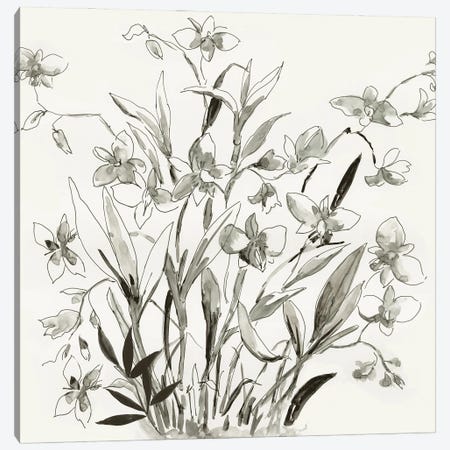 Cherishing Flora  Canvas Print #ASJ430} by Asia Jensen Canvas Print