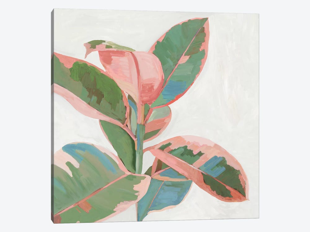 Pink Ficus I by Asia Jensen 1-piece Canvas Wall Art
