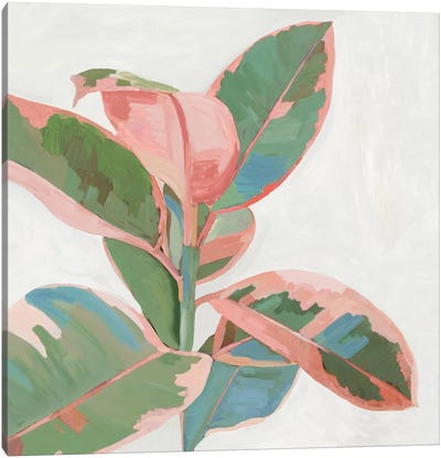 Pink Ficus I Canvas Art Print - Green & Pink Art
