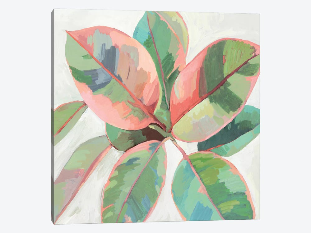 Pink Ficus II by Asia Jensen 1-piece Canvas Print