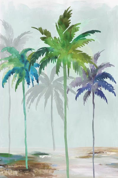 Santa Cruz: Santa Cruz by Asia Jensen