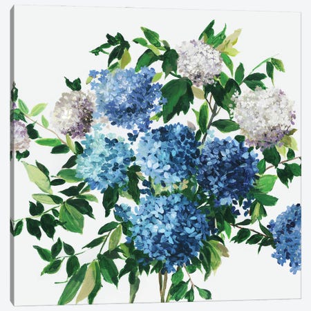 Blue Petals Canvas Print #ASJ485} by Asia Jensen Canvas Art Print