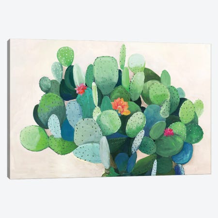 Cactus Bloom Canvas Print #ASJ487} by Asia Jensen Canvas Print