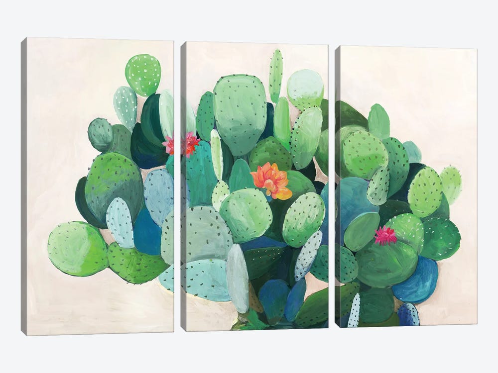 Cactus Bloom by Asia Jensen 3-piece Art Print