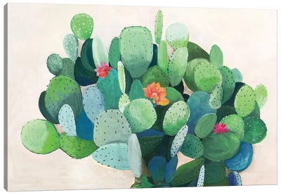 Cactus Bloom Canvas Art Print - Asia Jensen