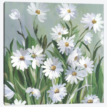 Daisy Day Canvas Print #ASJ490} by Asia Jensen Canvas Art Print