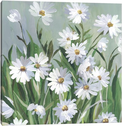 Daisy Day Canvas Art Print - Wildflowers