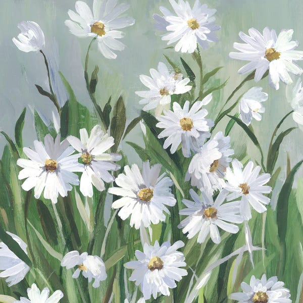 Large Floral & Botanical Art - Canvas Prints: Daisy Day by Asia Jensen