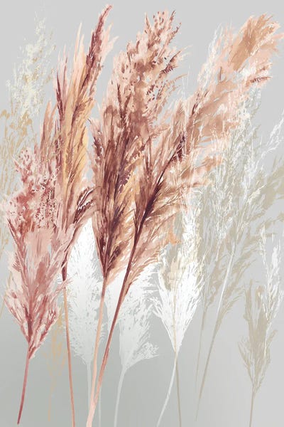 Grasses: Blushing Pomp Grass I by Asia Jensen