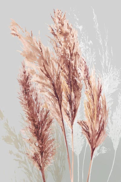 Grasses: Blushing Pomp Grass II by Asia Jensen