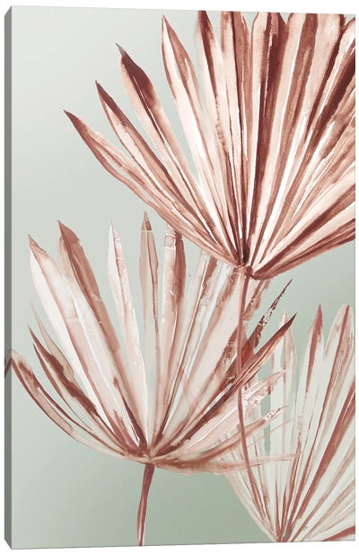 Grasses Palms I Canvas Art Print - Asia Jensen