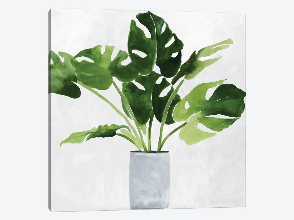Green Plant by Asia Jensen 1-piece Art Print
