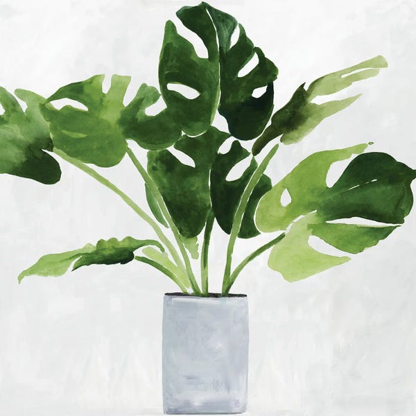 Asia Jensen: Green Plant by Asia Jensen
