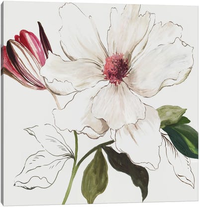 Pink Botanical I Canvas Art Print - Asia Jensen