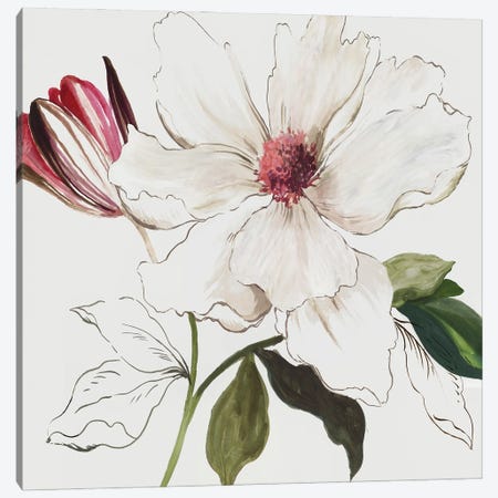 Pink Botanical I Canvas Print #ASJ558} by Asia Jensen Canvas Artwork