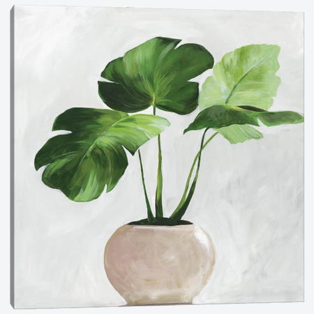 Potted Green Leaves Canvas Print #ASJ559} by Asia Jensen Canvas Wall Art