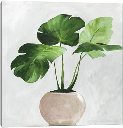 Potted Green Leaves Canvas Art Print - Monstera Art