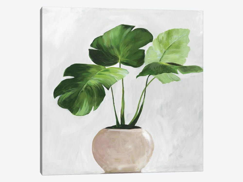Potted Green Leaves by Asia Jensen 1-piece Canvas Art Print