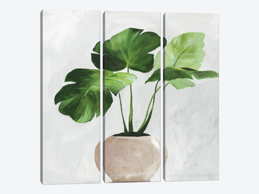 Potted Green Leaves by Asia Jensen 3-piece Art Print