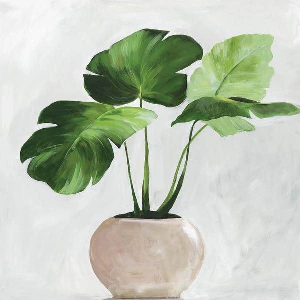 Monsteras: Potted Green Leaves by Asia Jensen