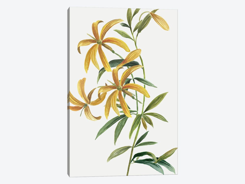 Yellow Tropical Flowers II by Asia Jensen 1-piece Canvas Print