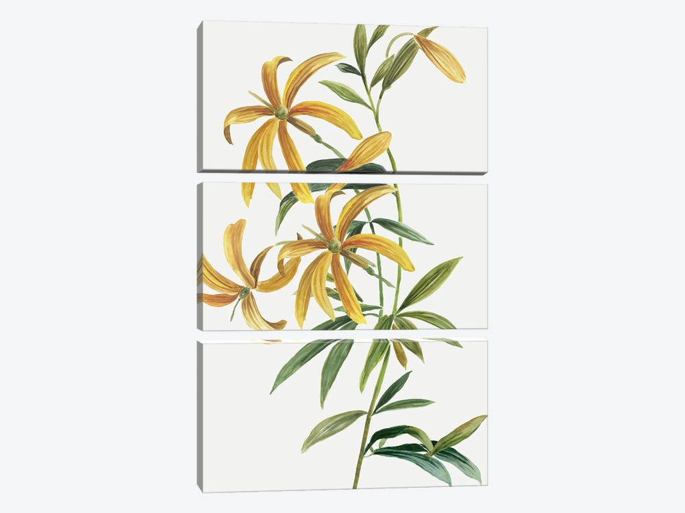 Yellow Tropical Flowers II by Asia Jensen 3-piece Art Print