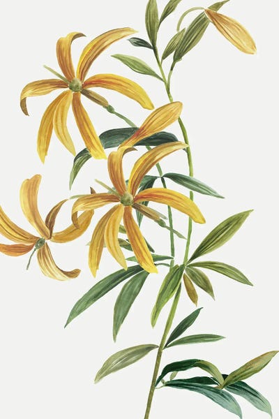 Large Minimalist Art - Canvas Prints: Yellow Tropical Flowers II by Asia Jensen