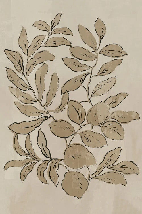 Leaves Sketches I