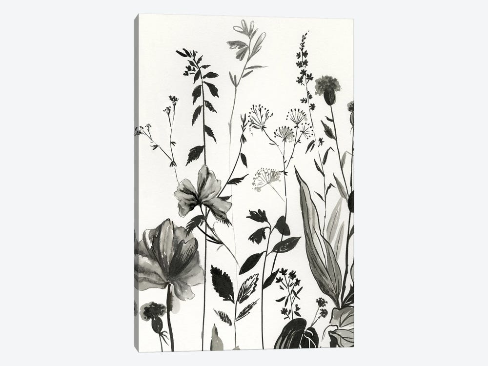 Black Botanicals I by Asia Jensen 1-piece Canvas Print